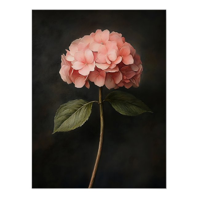 Póster Pintor de Hydrangea Botânica Rosa (Frente)