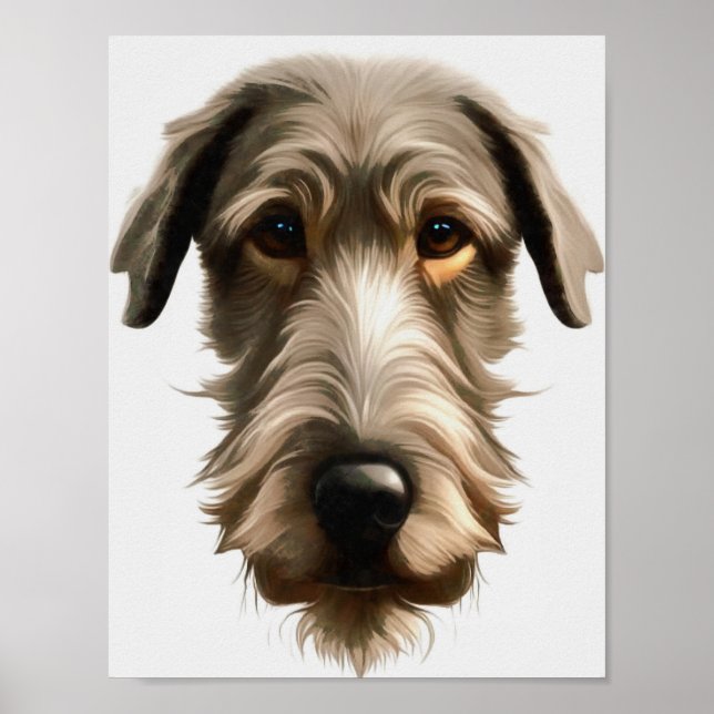 Poster Pintor Retrato de Wolfhound Irlandês Isolado em (Frente)