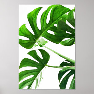 Poster Pintura a aquarela da folha de Monstera #5