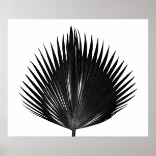 Poster Pintura a Preto de Planta Botânica Folha de Palma
