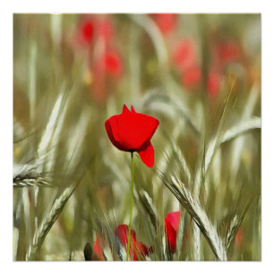 Póster Pintura Acrínica de Hot Poppy