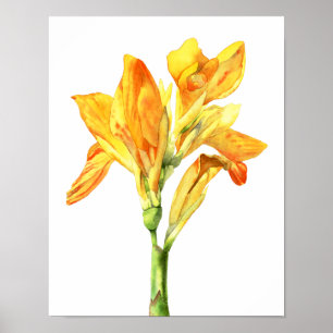 Poster Pintura amarela da aguarela da flor, belas artes