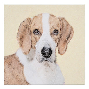 Póster Pintura Americana de Foxhound - Arte Cachorra Orig