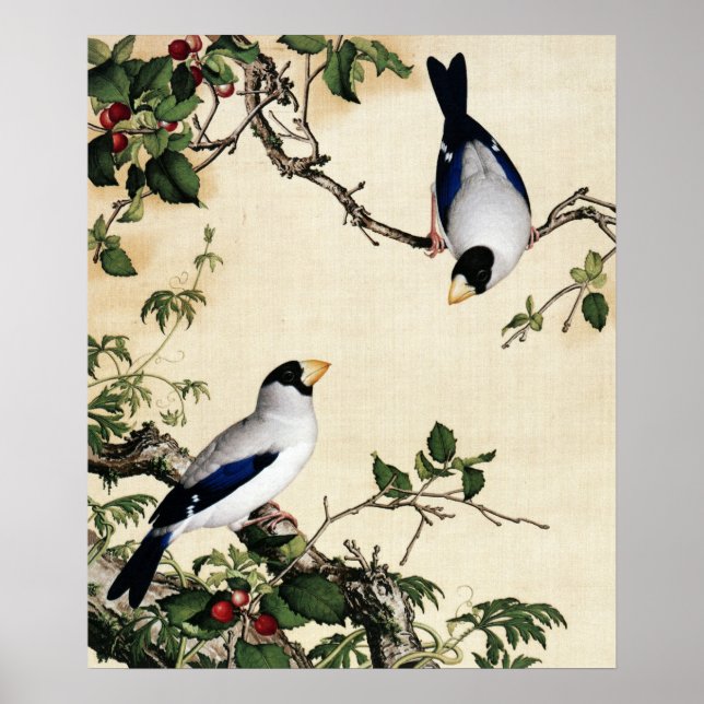 Poster Pintura Artística de Pássaros Antigos em Galho de  (Frente)