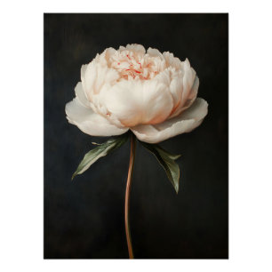 Póster Pintura Botânica de Peony Rosa-Rosa-Blush