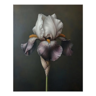 Póster Pintura Botânica Iris Púrpura e Branca
