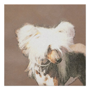 Póster Pintura Chinesa Sem Cabelo Penteada Original Dog A
