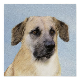 Póster Pintura Chinook (Ouvidos Soltos) - Arte Cão Origi