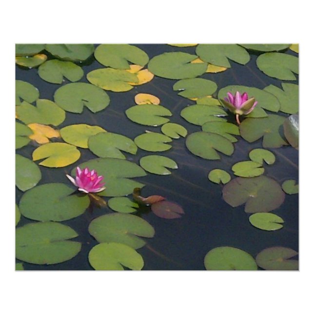 Póster Pintura da Flor de Água (Frente)