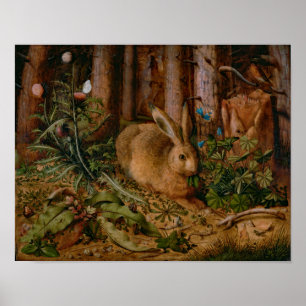 Poster Pintura da Floresta Natural Hoffmann Hare