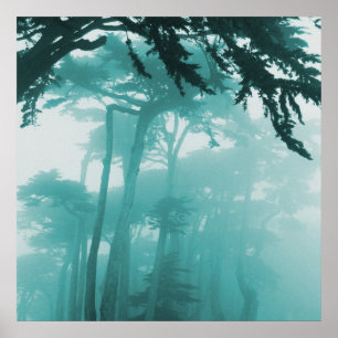 Poster Pintura da foto da névoa de Forrest