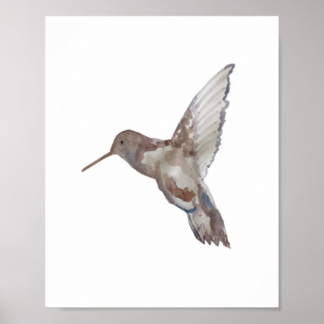 Poster Pintura da Natureza do Hummingbird (Frente)