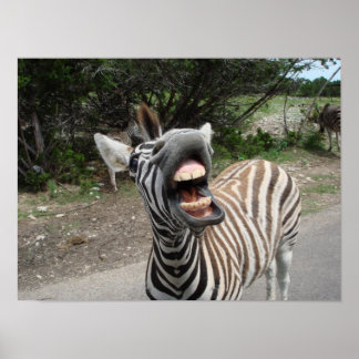 Poster pintura da zebra alegre e feliz