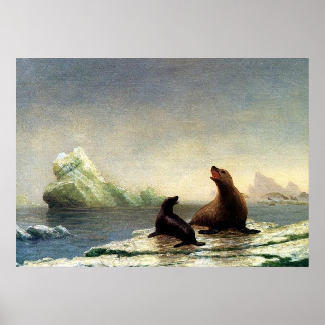 Poster Pintura de Albert Bierstadt, Seals (Frente)