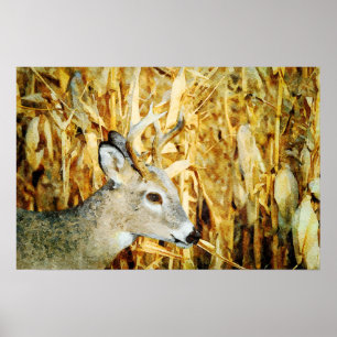 Poster Pintura de Aquarela Gorgeia Whitetail Deer Buck Wa