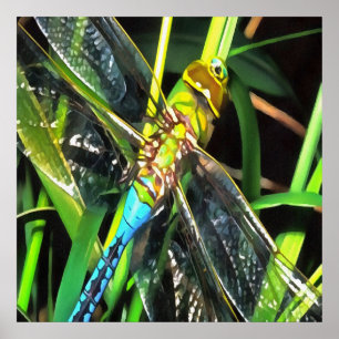Póster Pintura de Asas de Sombreamento da Dragonfly Azul