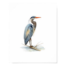 Pintura de Ave Garça Azul Grande em Aquarela