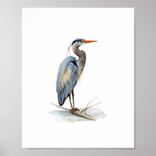 Poster Pintura de Ave Garça Azul Grande em Aquarela