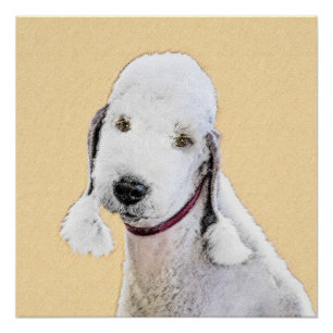 Póster Pintura de Bedlington Terrier - Arte de Cachorro O