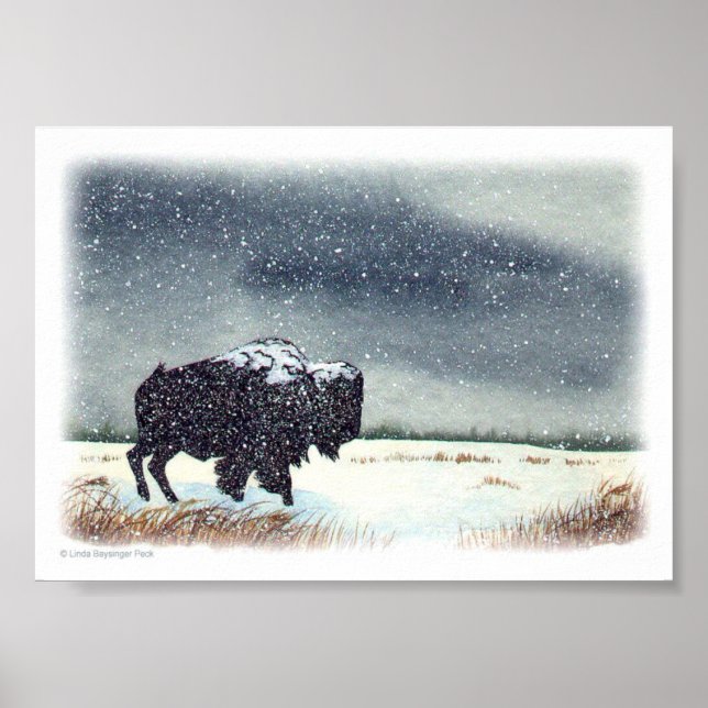 Póster Pintura de Bison com Neve (Frente)