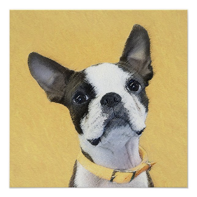 Póster Pintura de Boston Terrier - Arte de Cachorro Origi (Frente)