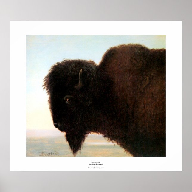 Póster Pintura de Buffalo Head Art Albert Bierstadt (Frente)