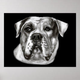 Poster Pintura de Buldogue