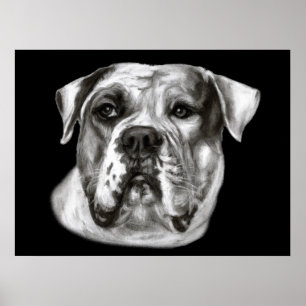 Poster Pintura de Buldogue
