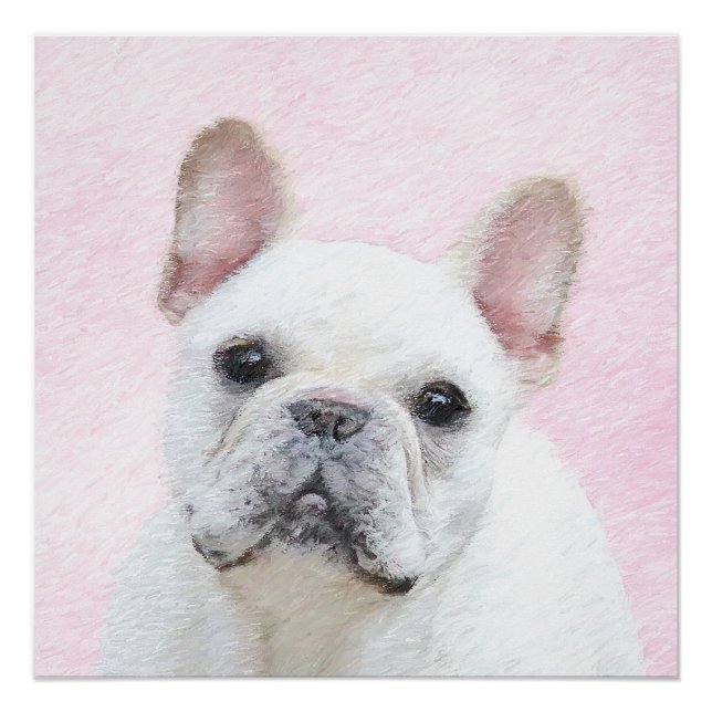 Póster Pintura de Bulldog Francês (Creme/Branco) - Arte C (Frente)