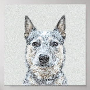 Póster Pintura de Cachorro Australiano - Arte Original Bo