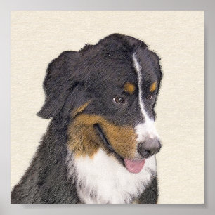 Poster Pintura de Cachorro de Montanha Bernese - Arte Ori