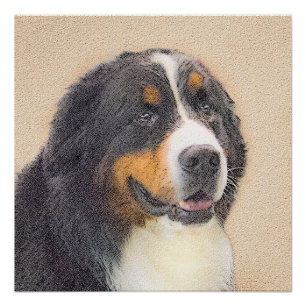 Póster Pintura de Cachorro de Montanha Bernese - Arte Ori