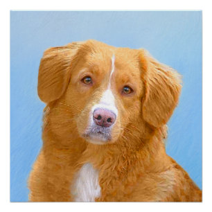 Póster Pintura de Cachorro de Retriever com Tolerância a 