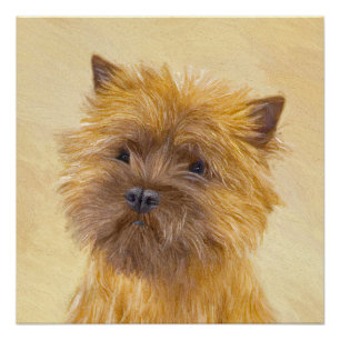 Póster Pintura de Cairn Terrier - Arte de Cachorro Origin