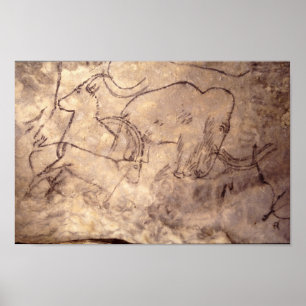 Póster Pintura de caverna de Rouffignac