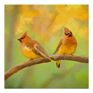Póster Pintura De Cedar Waxwing - Arte De Cachorro Origin