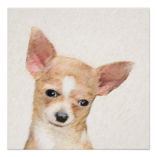 Póster Pintura de Chihuahua - Arte de Cachorro Original C