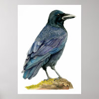 Pintura de Crow Watercolor