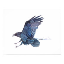 Pintura de Crow Watercolor