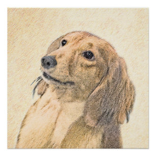Póster Pintura de Dachshund (Longhaired) - Arte de Cão O