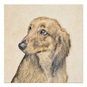 Póster Pintura de Dachshund (Longhaired) - Arte de Cão Or