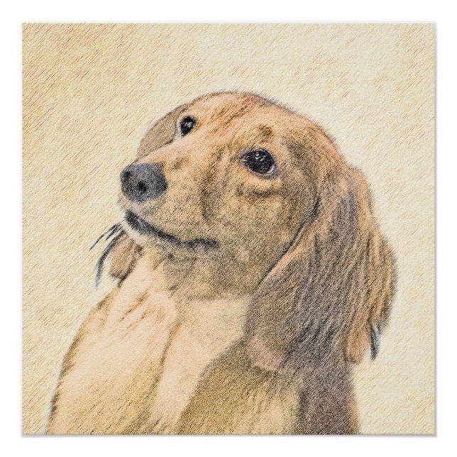 Póster Pintura de Dachshund (Longhaired) - Arte de Cão Or (Frente)