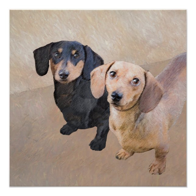 Póster Pintura de Dachshund (Smooth) - Arte de Cão Origin (Frente)