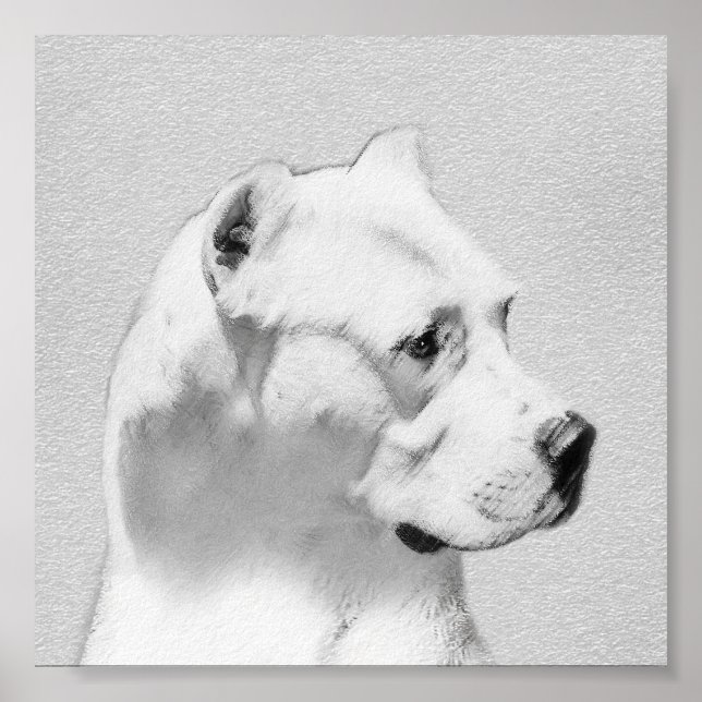 Póster Pintura de Dogo Argentino - Arte de Cachorro Origi (Frente)