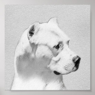 Póster Pintura de Dogo Argentino - Arte Original de Cães