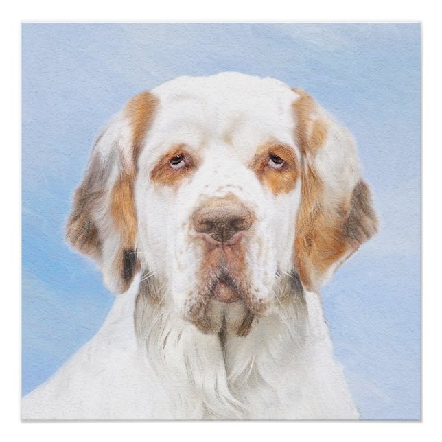 Póster Pintura de Espanhol Clumber - Arte de Cachorro Ori (Frente)