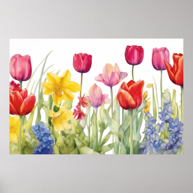 Poster Pintura de flor de tulipa (Frente)