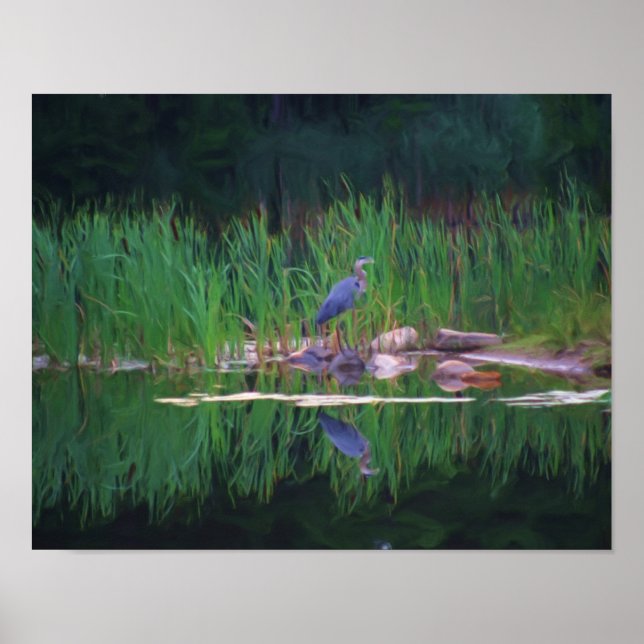 Poster Pintura de Foto Blue Heron Nature (Frente)