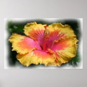 Poster Pintura de Foto de Flor Amarelo Vermelho Hibiscus