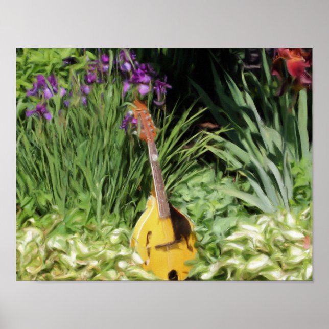 Póster Pintura de Foto do Jardim Flor Mandolin Iris (Frente)